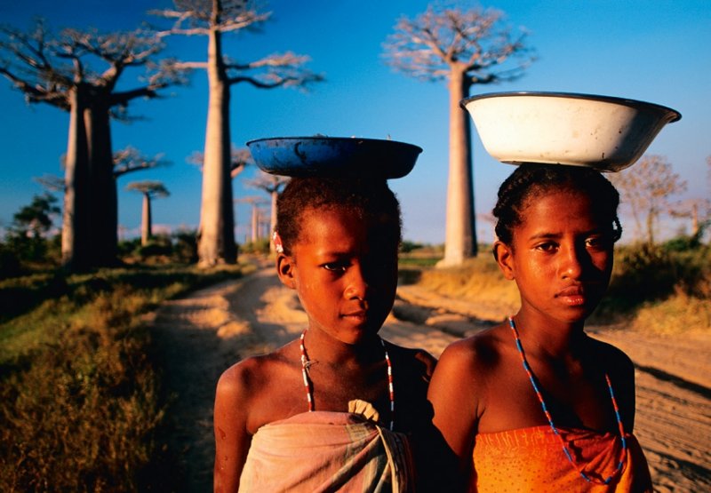 Кто проживает на Мадагаскаре помимо лемуров